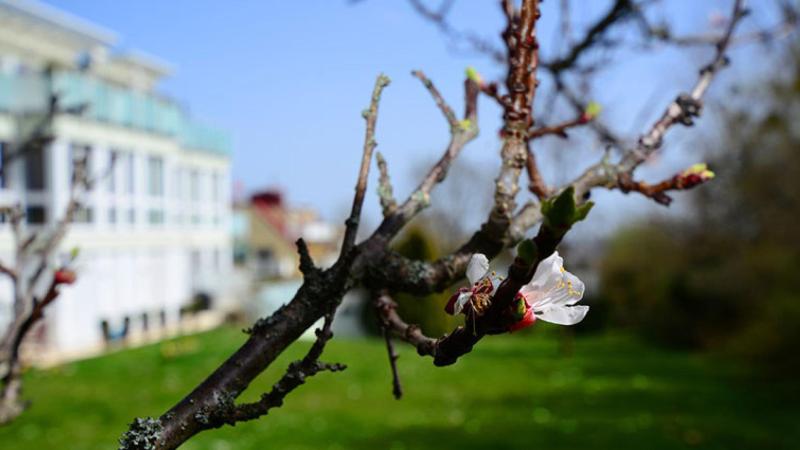 Immobilien Hietzing, Immobilien verkaufen 1130 Wien, Immobilienmakler 1130 Hietzing